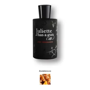 Lady Vengeance by Juliette Has A Gun