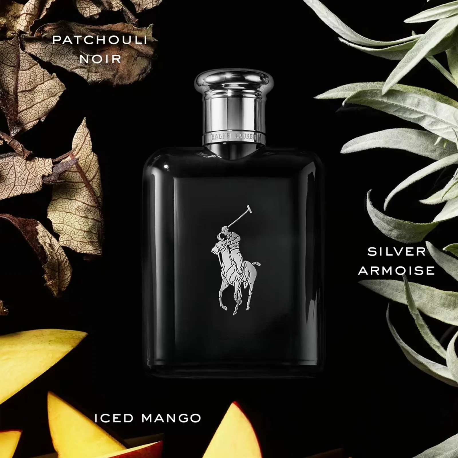 Polo Black 2.5 oz EDT for men