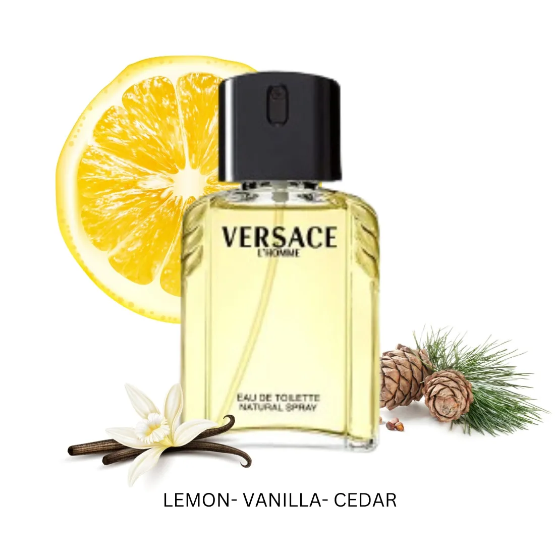Versace L' Homme For Men By Versace Eau De Toilette Spray 3.4 oz